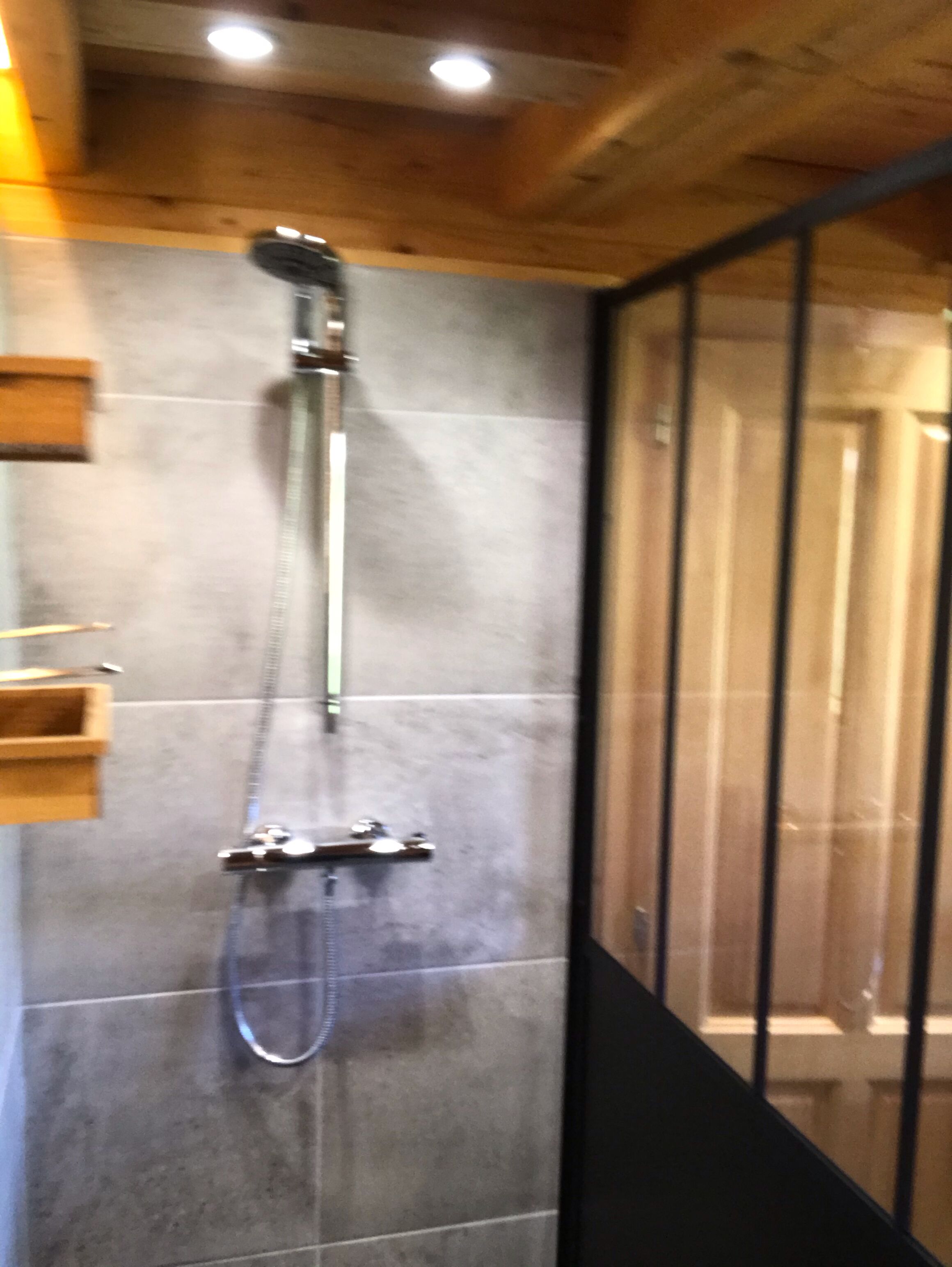 Shower, hair dryer, towels, toilet paper