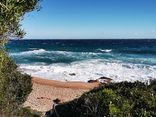  Corse du sud, bord de mer, les pieds dans l'eau, terrain arboré, 10pers.