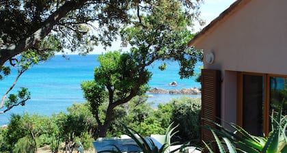 Corse du sud, bord de mer, les pieds dans l'eau, terrain arboré, 10pers.