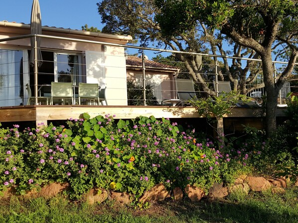 A modern house with a balcony, large windows, and a garden with pink flowers. - Small pariadis, feet in the water, raised ground, 10pers! (Zonza)