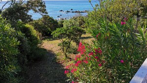 A garden path leading to a view of the sea, surrounded by lush greenery and flowering plants. - Small pariadis, feet in the water, raised ground, 10pers! (Zonza)