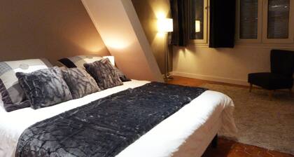 Spacious and cozy apartment in the heart of the historic city center