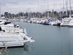 Un port de plaisance où sont amarrés de nombreux bateaux.