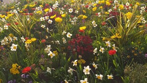 Un jardí amb diverses flors i un edifici de pedra al fons.