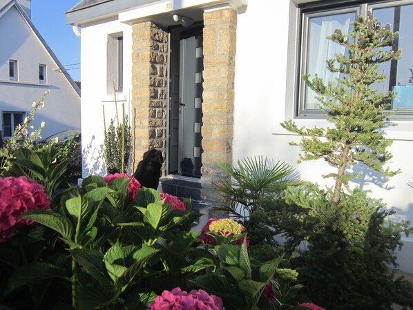 A house with a stone facade, a black dog at the entrance, and lush greenery in the garden. - Charming house, 3***, 400m from the beach, GR34 and thalasso baths (Concarneau)