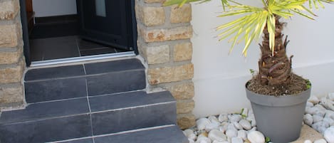 A modern building entrance with stone steps leading to a dark door, a potted palm plant, and a window with a view of a building in the background.