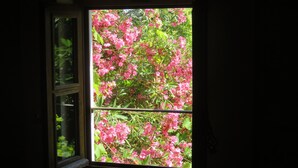 Ein Fenster mit Blick auf rosa Blüten.