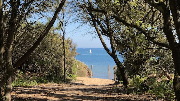 A dirt path leading to a beach with a clear view of the sea and a sailboat in the distance.