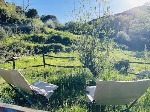 LITTLE QUIET CORNER FOR NATURE LOVERS ...