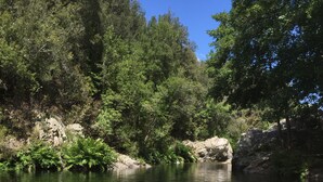 A clear river with sandy banks and dense green foliage in the background. - LITTLE QUIET CORNER FOR NATURE LOVERS ... (Olivese)