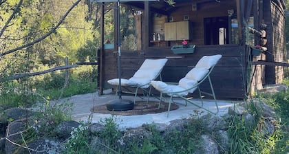 LITTLE QUIET CORNER FOR NATURE LOVERS ...