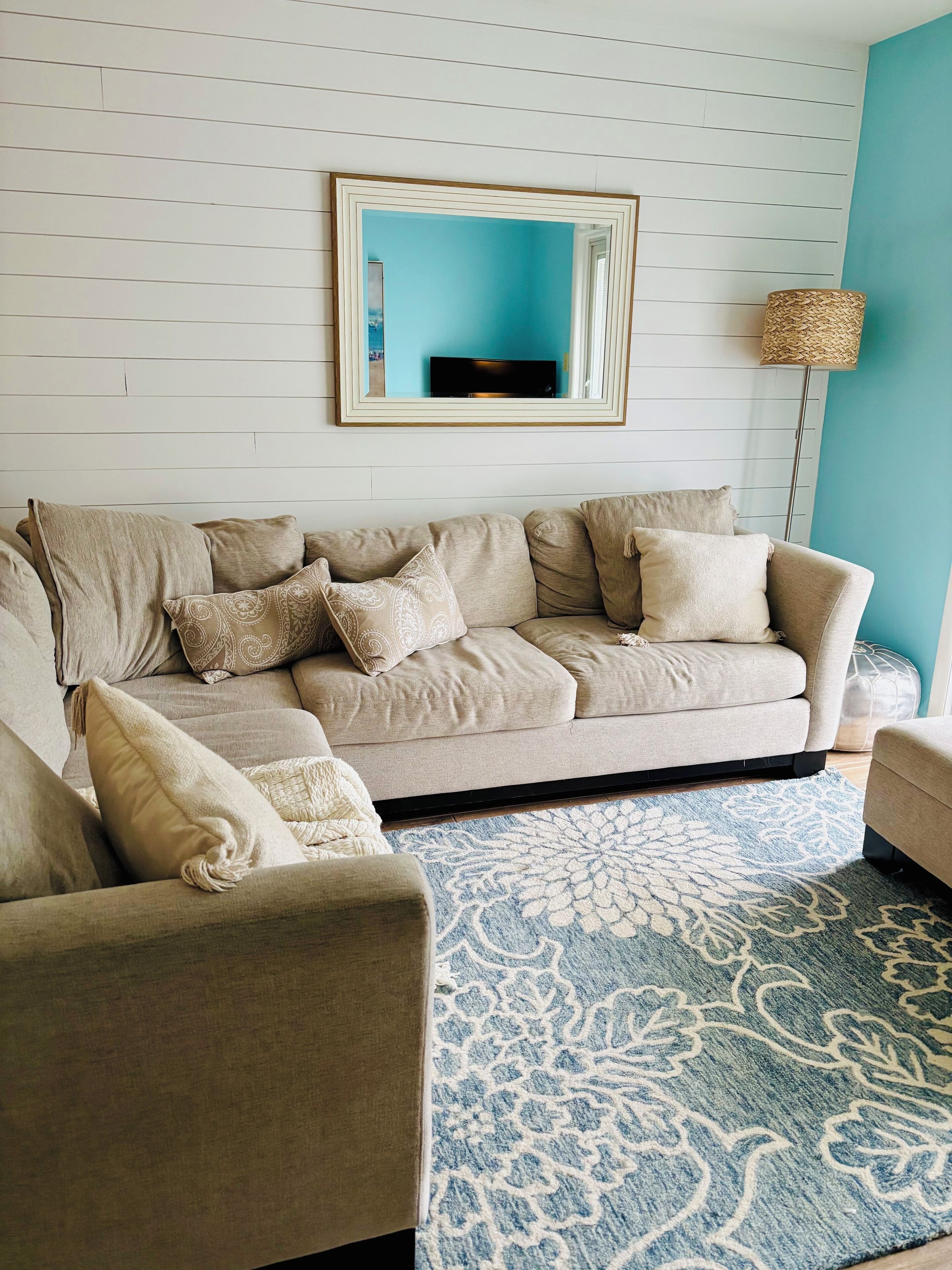 Smart TV, DVD player, books, video library