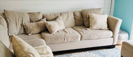 Smart TV, DVD player, books, video library