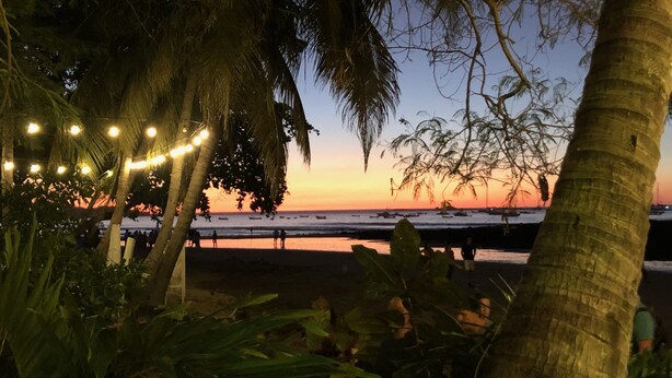 Eine Strandansicht mit Palmen und Lichterketten.