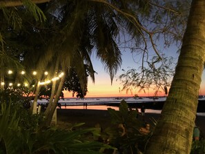 A beach scene with palm trees and string lights.