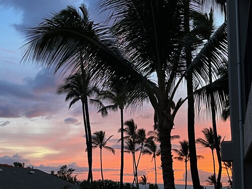Superior 1 Bed Bright decor Part ocean view King Bed No risk of zoning change
