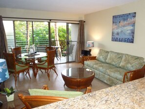 TV, DVD player, books, video library