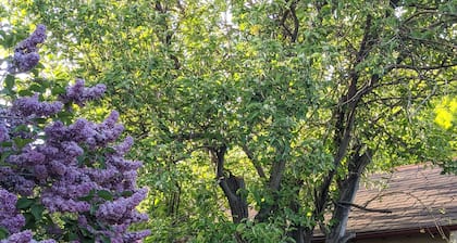 Perfect for two! Less than half mile from Yellowstone. 'Downtown' location.