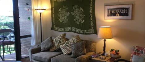 Smart TV, DVD player, books, stereo