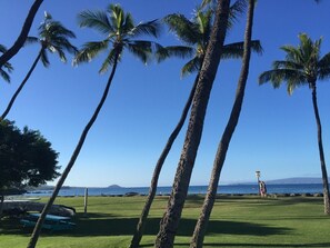 Property grounds - Maui Vista #2-Walk to beaches & restaurants-Pickleball (Kihei)