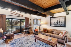 TV, fireplace, DVD player, video library