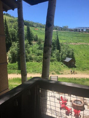 Property grounds - Right on the slopes/trails! (Steamboat Springs)