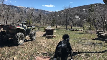 Overnattingsstedets uteområder