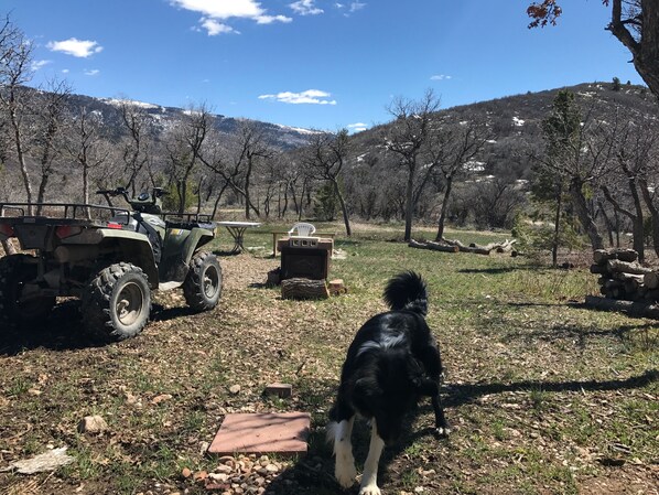Enceinte de l’hébergement
