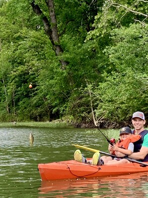 A person in a kayak on a calm body of water surrounded by dense green foliage.