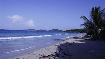 Playa en los alrededores, camastros y toallas de playa