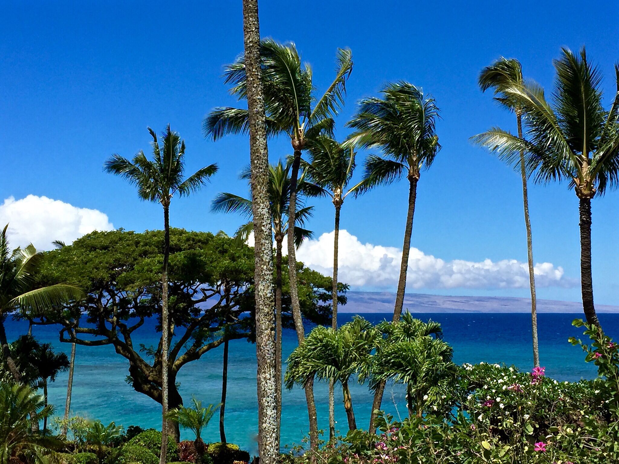 Sun loungers, beach towels