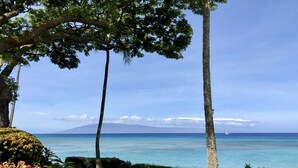 A garden with a bench, palm trees, and a view of the ocean. - Amazing panoramic ocean view!   Perfect for couples. Just steps to the ocean.🏝 (Lahaina)