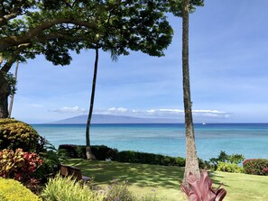 Imagen sin descripción, 4 de 47, botón