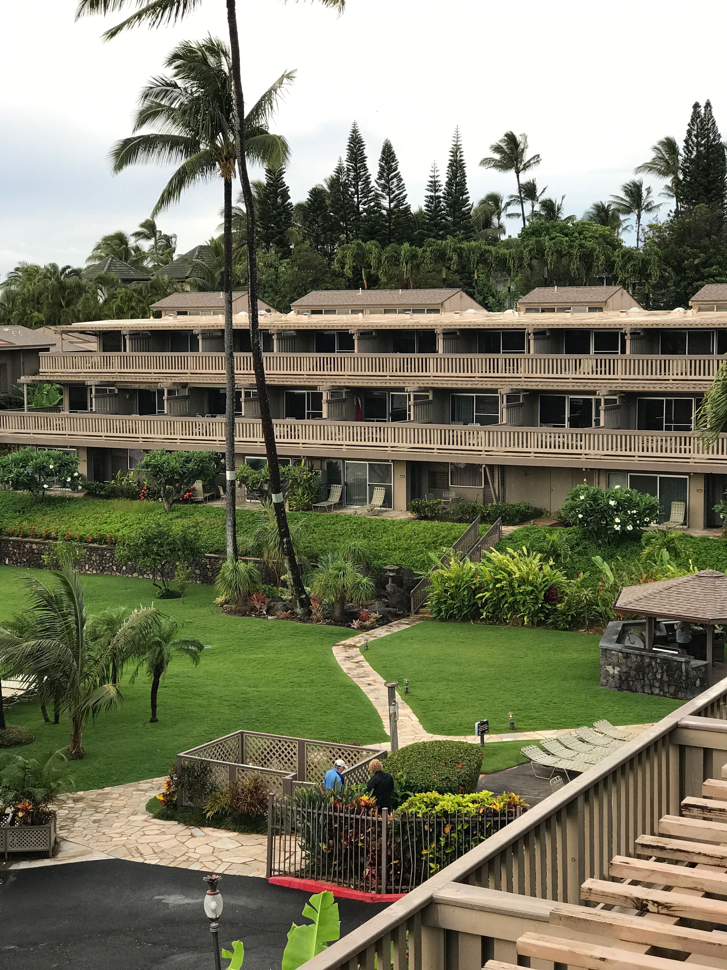 Un hotel de varios pisos con balcones, césped cuidado y vegetación tropical.