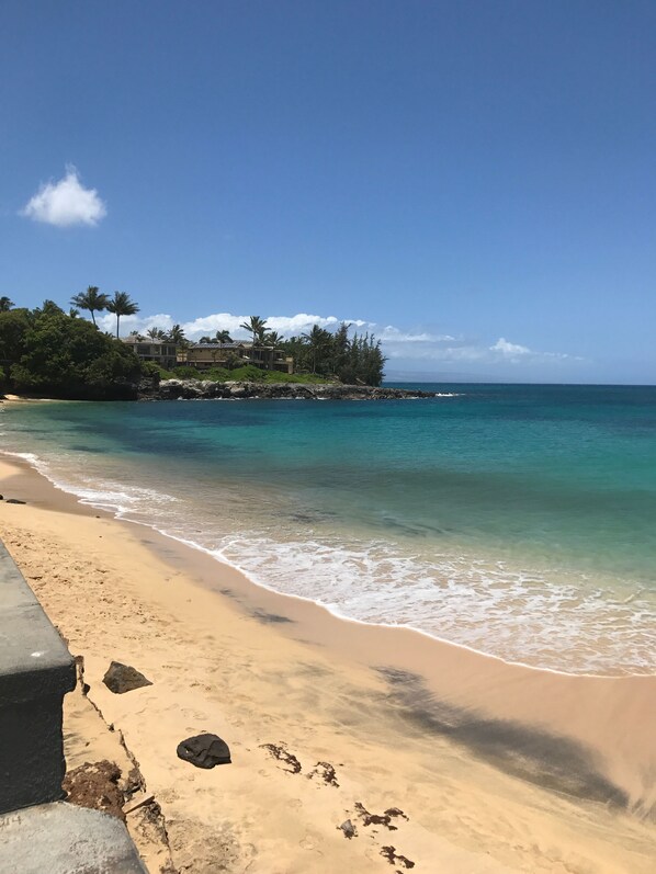 A beach with clear turquoise water, a sandy shore, and a backdrop of palm trees and a building.