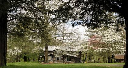 Modern comforts in an 1860's log cabin nestled in the Appalachian Foothills.