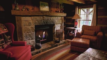 Smart TV, fireplace, books, stereo