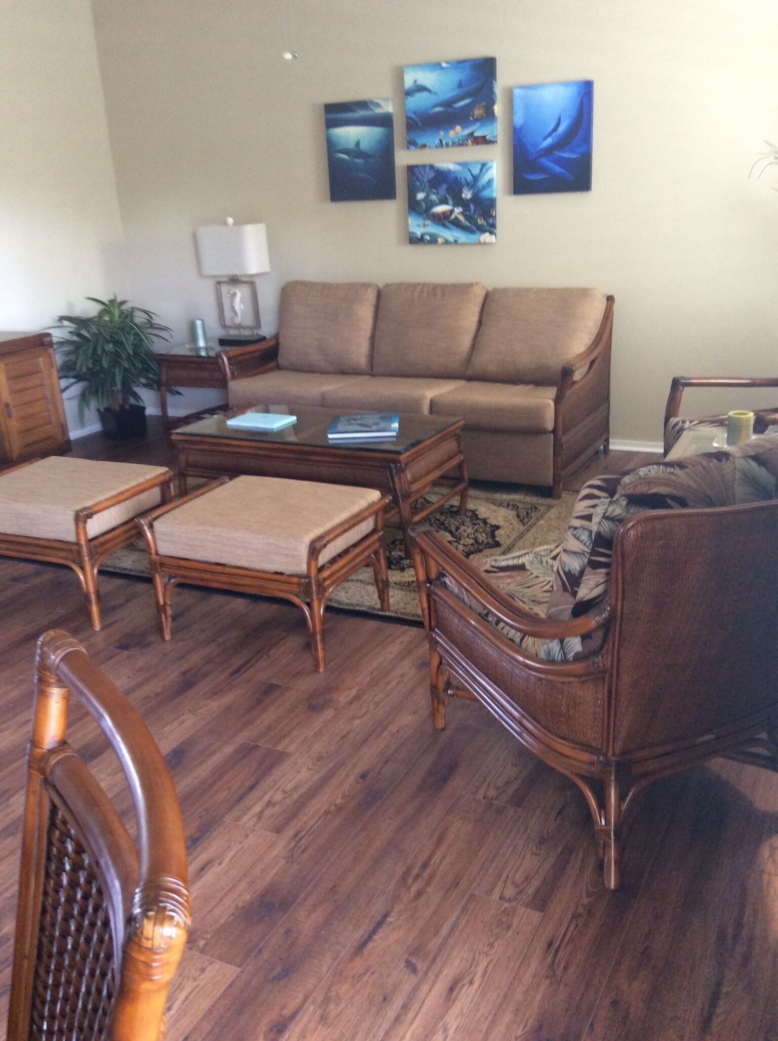 TV, DVD player, video library