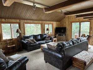 Smart TV, fireplace, books, offices