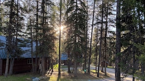A cabin surrounded by tall trees with sunlight filtering through.