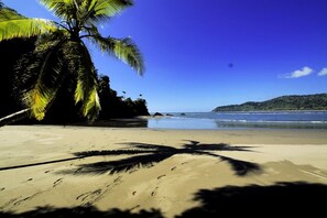 Chaises longues, serviettes de plage