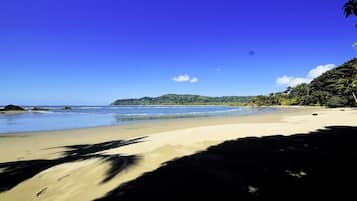 Sun-loungers, beach towels