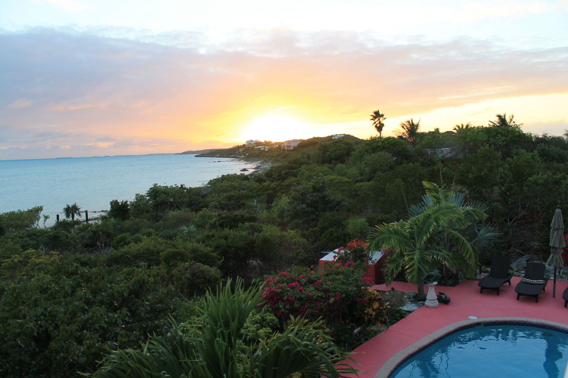 A pool surrounded by lush greenery and a view of the sea at sunset.
