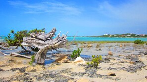 Ubicación a pie de playa, tumbonas y toallas de playa