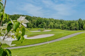 Golf - Creekview Cabin - hot tub, pets, grill, wifi, screen porch, fire ring (Berkeley Springs)