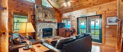 Televisión, chimenea, reproductor de DVD y libros