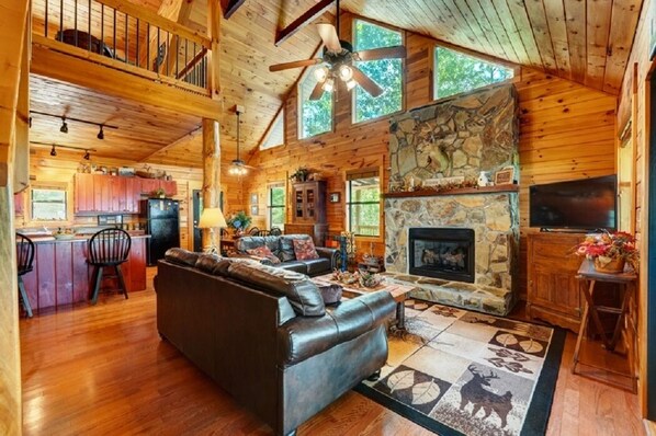 TV, fireplace, DVD player, books