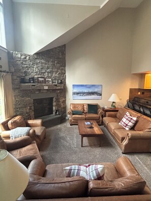 Smart TV, fireplace, DVD player, stereo