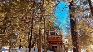 A cabin surrounded by snow-covered trees. - Mountain A-Frame, Wall of Glass w/Stunning Tree Views, Hot Tub, Firepit, Dogs ok (Lake Arrowhead)
