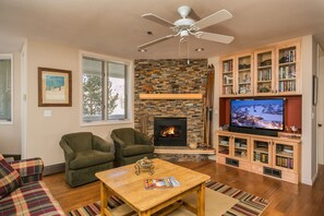 LCD TV, fireplace, DVD player, books